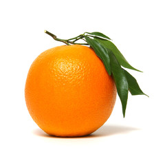 Orange isolated on white