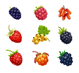 vector set of berries, fruit, ripe fruit, mulberry, BlackBerry, raspberry, unabi, strawberry, currant, cloudberry, fresh fruit, on white background,