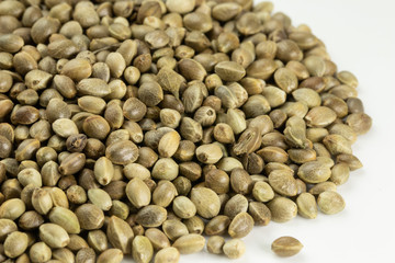 Cannabis sativa seeds with white background
