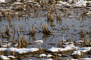 Panorami della campagna lodigiana