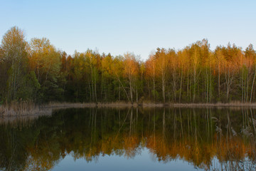 Fototapeta na wymiar Reflection of autumn trees in the water