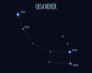 Ursa Minor (Little Bear, Little Dipper) constellation, vector illustration with the names of basic stars against the starry sky