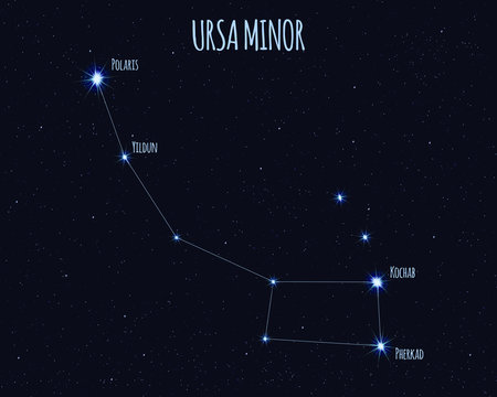 Ursa Minor (Little Bear, Little Dipper) constellation, vector illustration with the names of basic stars against the starry sky