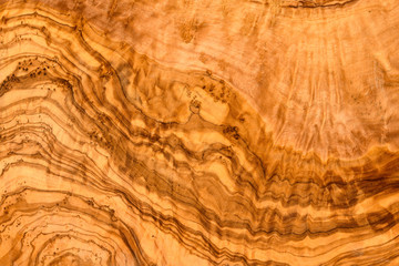 Olive Wood Cross Section Texture