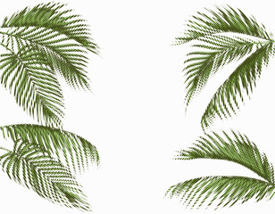 Fototapeta na wymiar Different in shape tropical dark green palm leaves. Stylized dots design. Isolated on white background. illustration