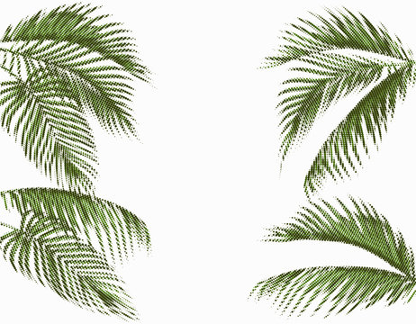 Different in shape tropical dark green palm leaves. Stylized dots design. Isolated on white background. illustration