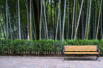 Yellow bench in the park, against the background of the bamboo wood.
