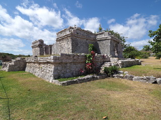 Ruins of stony mayan temple at TULUM city at Mexico on famous archaeological site with grassy field