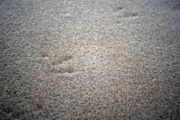 Fototapeta na wymiar Grain of grey sand macro photo nature