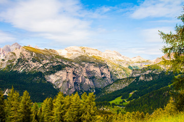 view the green valley from the pine forest of the rocky mountains of the dolomites italy, south tyrol, in summer time