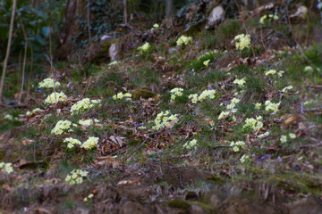 Panorama della Lombardia