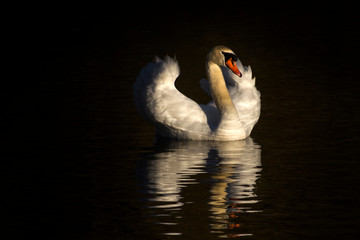 Panorama della Lombardia
