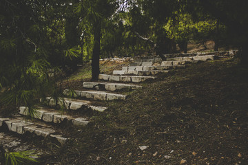 soft focus poor dirty stone stairs path way in park outdoor natural environment in morning twilight early time