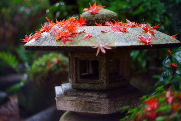 雨に濡れた日本庭園の灯籠と紅葉