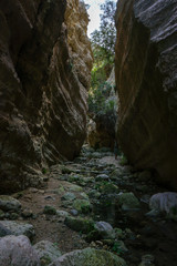 waterfall in the canyon