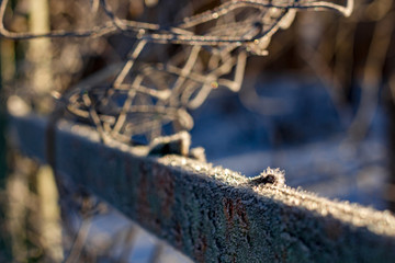 The grid of the fence covered with frost on a frosty morning, cold snap, beautiful background