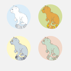 illustration set witn funny kittens