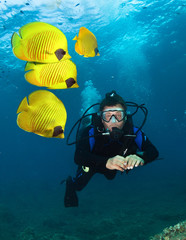Diver and Masked Butterfly Fishes.