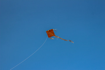 Kite on a clear sky