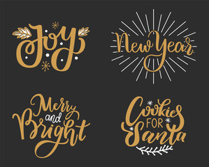 Joys, New Year, Merry and Bright Cookies for Santa