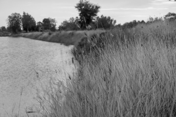 winter landscape with trees and snow