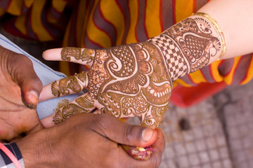applying henna on hand, Hindu wedding ,Rajasthan, India