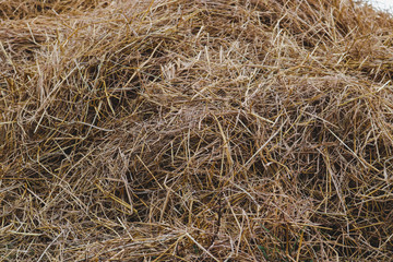 background of straw