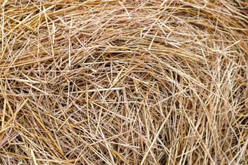hay texture background