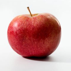 beautiful red apple