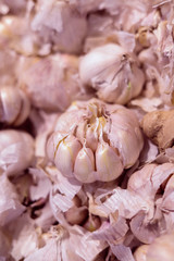 garlic on the market
