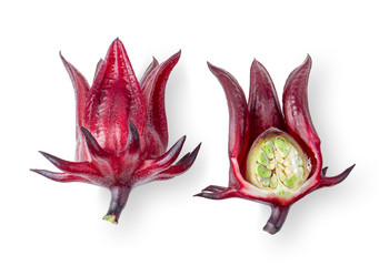 roselle hibiscus on white background. top view