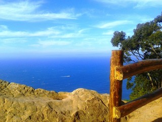 sky and sea from a forest