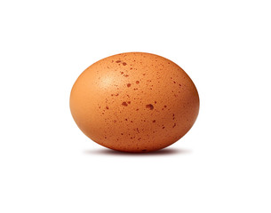 egg on white background