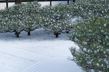 Japanese garden in winter, Kyoto Japan.
