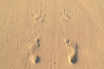 Fototapeta na wymiar Imprint your feet on the sand. Footprints in the sand