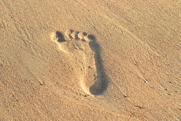 Fototapeta na wymiar Imprint your feet on the sand. Footprints in the sand