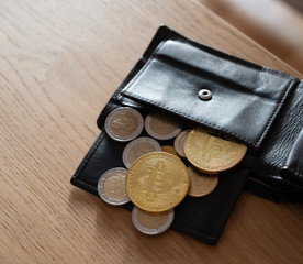 Bitcins from euro wallet