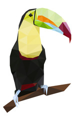 Colorful polygonal style design of tropical tucan bird with yellow neck © Olhapankiv