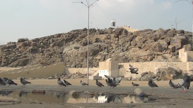 Arafat Hill, where Muslims pray to waqf during the pilgrimage. birds are playing in the water in the foreground.