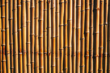 Dry Natural Bamboo Fence Panel or Wall