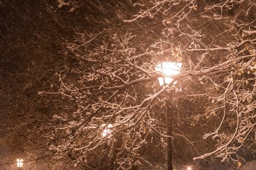 city park lantern during snow fall