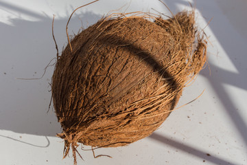 Tropical fruit coconut on a light background