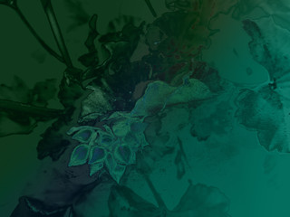 foliage © neurostructure