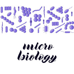 Fototapeta na wymiar Purple bacterias. Micro biology hand lettering.
