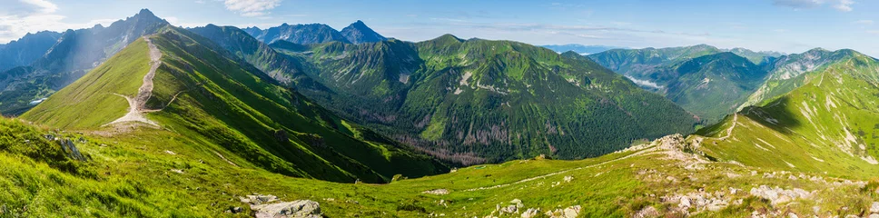 Stof per meter Zomer Tatra-gebergte, Polen © wildman