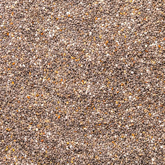 chia seed texture closeup