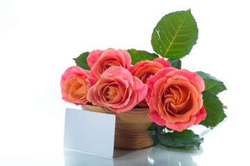 bouquet of beautiful pink roses isolated on white