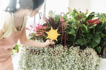 Florist decorate flowers and plants