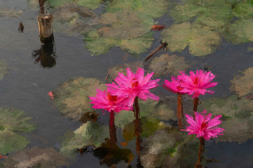 water lily painting effect
