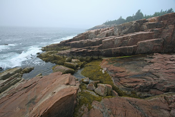 Fototapeta na wymiar The rugged granite coast of Acadia National Park, Maine, on a foggy summer morning.